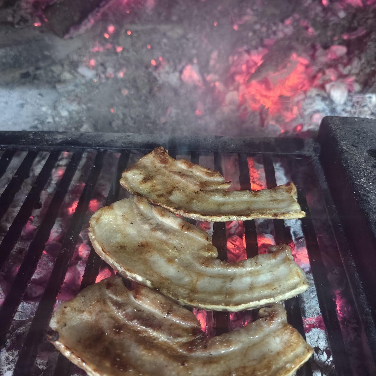 CANSALADA A LA BRASA